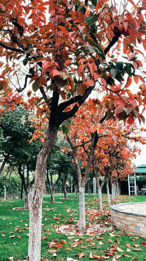 Park Ashik Hotel Laknas Bagian luar foto